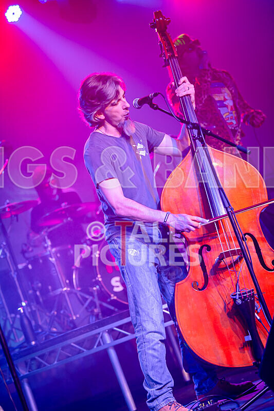 Agilisys Band-16 - SoPM CORPORATE BATTLE OF THE BANDS_AGILISYS