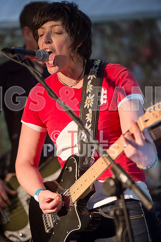 Swallows-16 - SWALLOWS