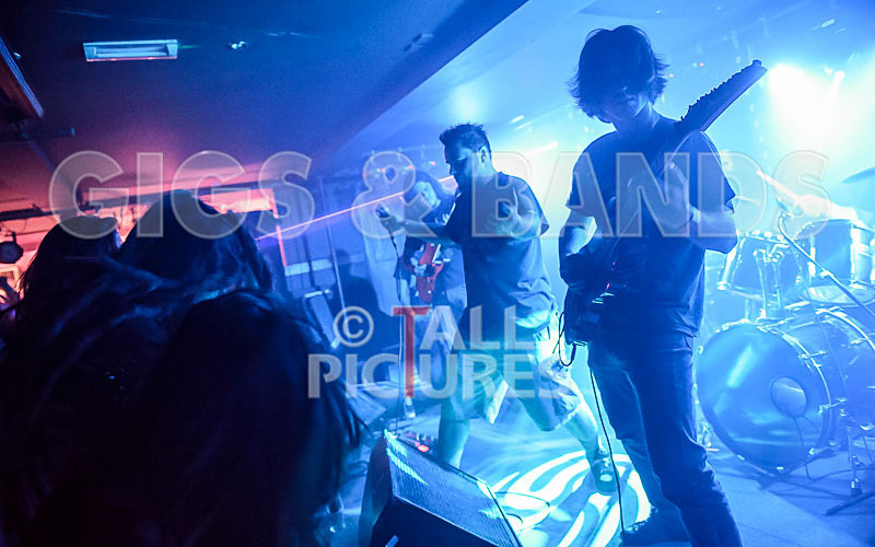 Masticated-17 - MASTICATED