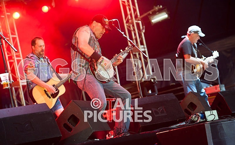 Hayseed Dixie-22 - HAYSEED DIXIE