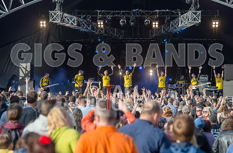 Dubioza Kolektiv-8 - DUBIOZA KOLEKTIV