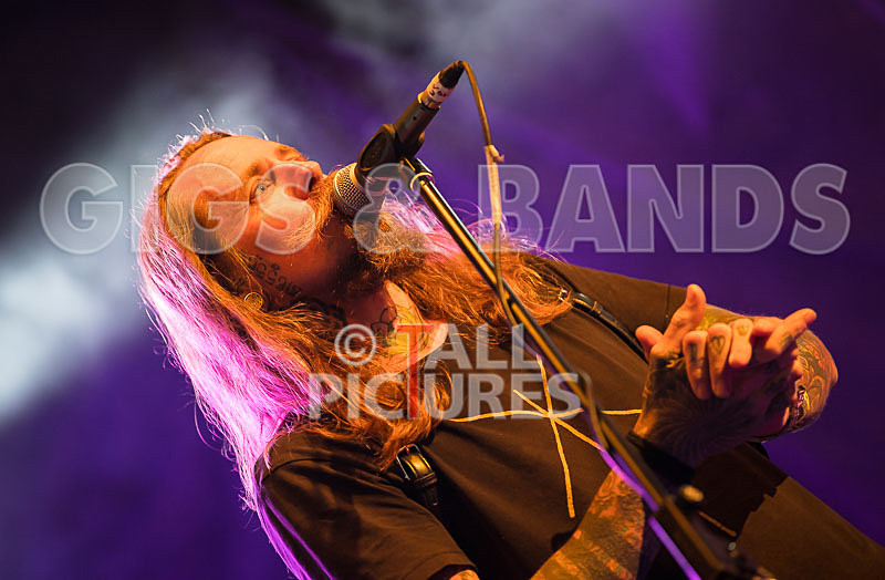 Vale Earth Fair 2017_SCENE-146 - VALE EARTH FAIR 2017_THE SCENE