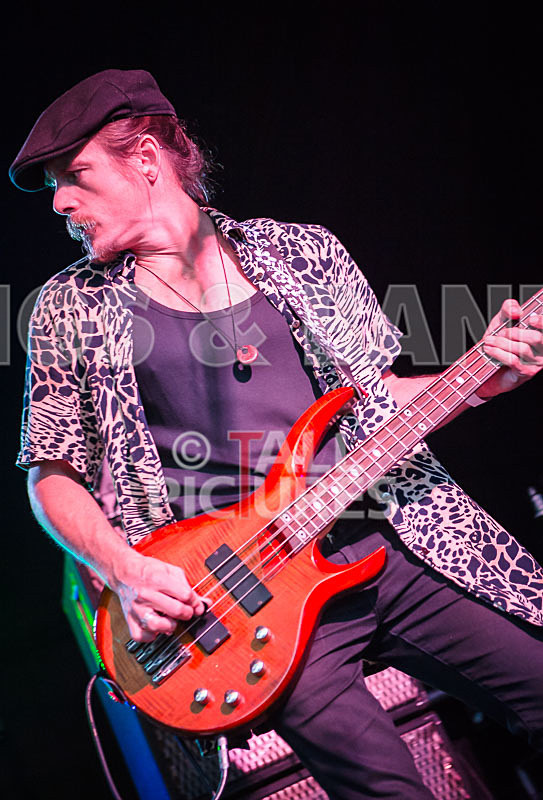 The Gaa Gaas-83 - THE GAA GAAS