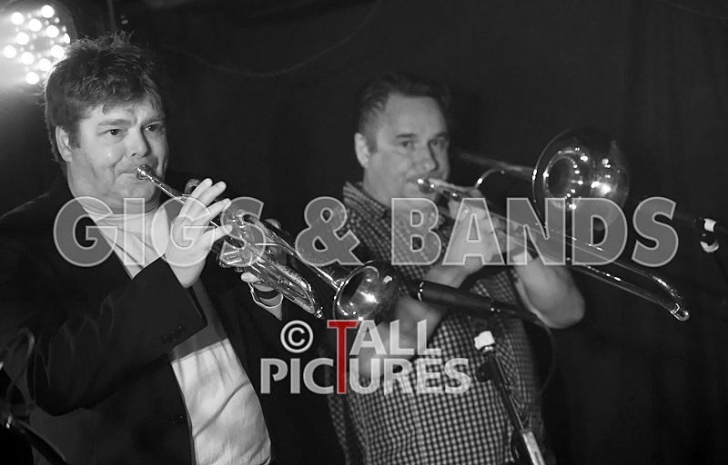 King Rat and the Soul Cats-70 - KING RAT & THE SOUL CATS