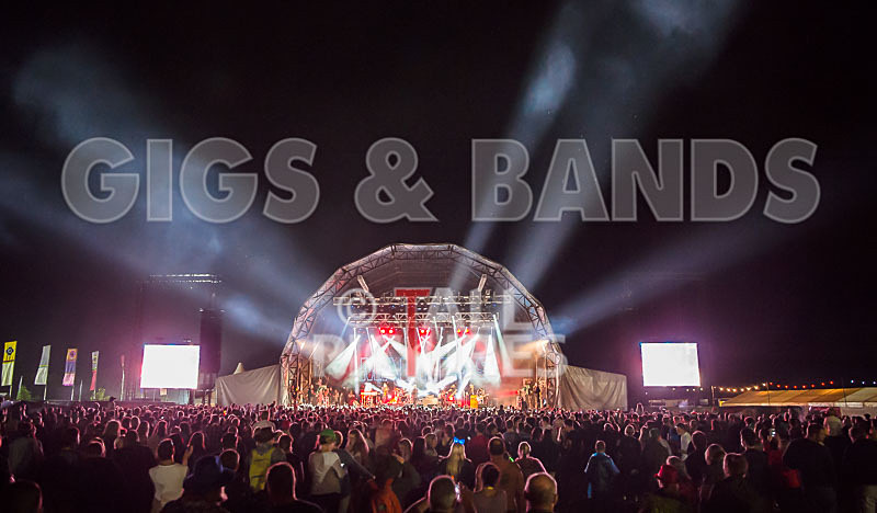 Madness-37 - MADNESS