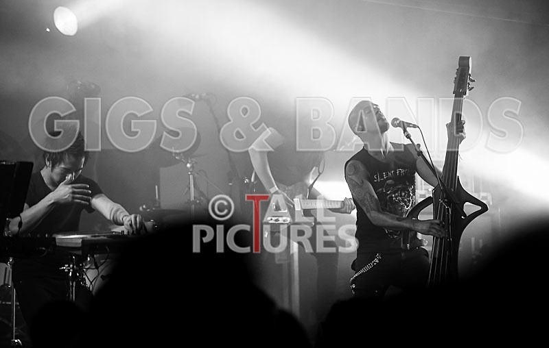 Subsource-82 - SUBSOURCE