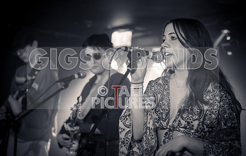 Dislocated-50 - DISLOCATED