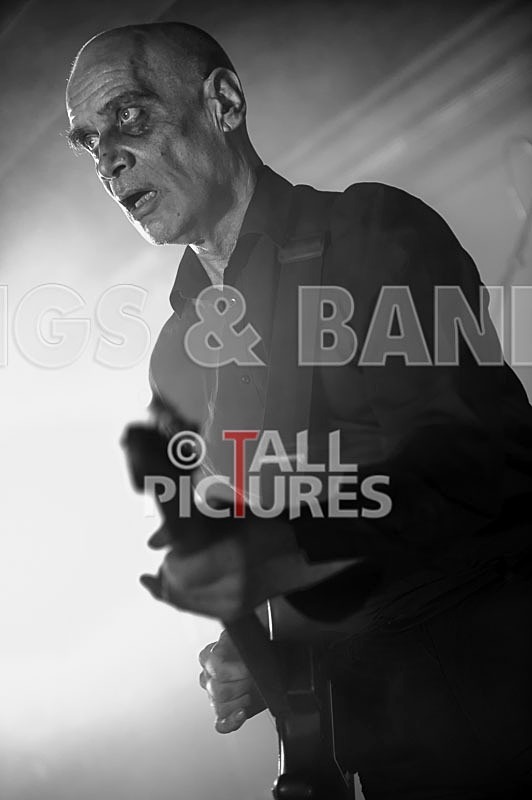 The Wilko Johnson Band-2 - THE WILKO JOHNSON BAND