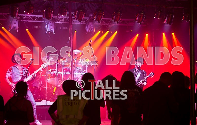 Peppered Ant Legs-67 - PEPPERED ANT LEGS