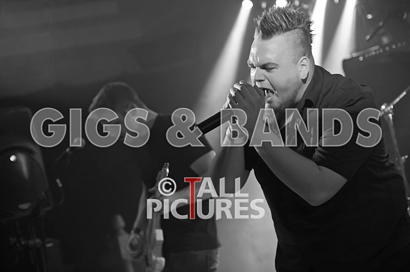 Dead Wing-4 - DEAD WING