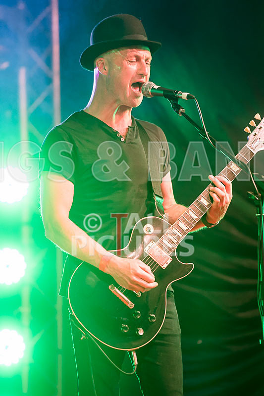 Peppered Ant Legs-224 - PEPPERED ANT LEGS