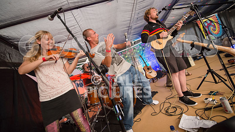 Buffalo Huddleston-223 - BUFFALO HUDDLESTON