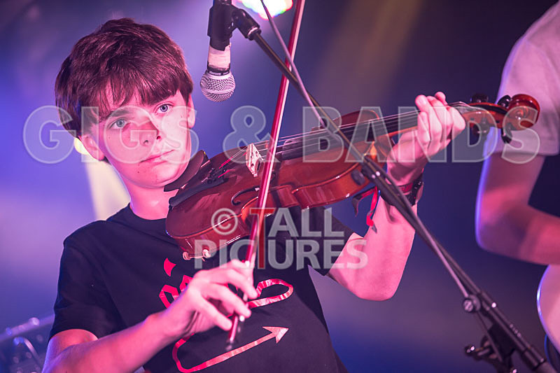 Lady and the Tramps-6 - LADY AND THE TRAMPS