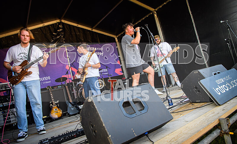 Bloomfield-52 - BLOOMFIELD