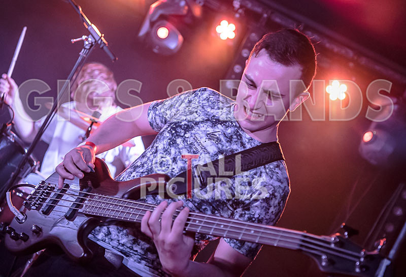 To the Woods-402 - TO THE WOODS