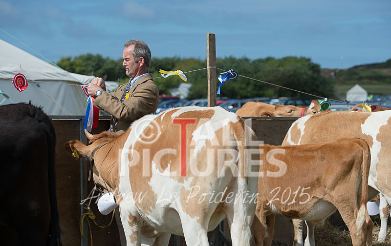 West Show_2014-17 - THE WEST SHOW 2014
