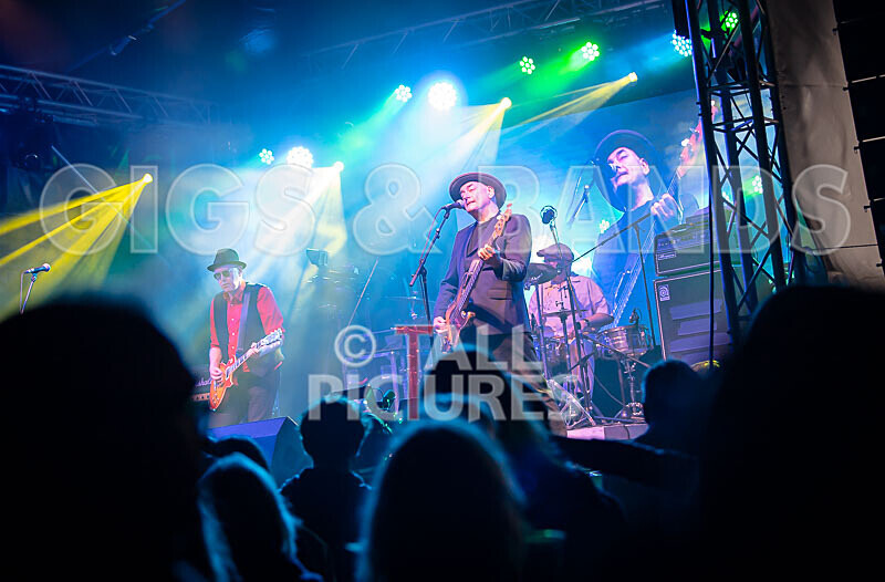 Ruts DC-51 - RUTS DC