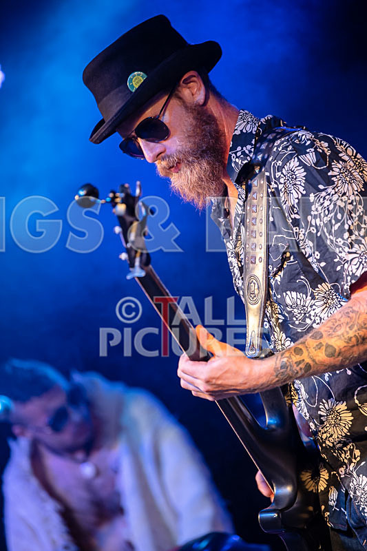 Surfin Birds-51 - SURFIN' BIRDS