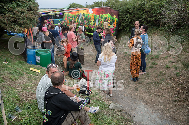 Vale Earth Fair_Atmosphere_2014-74 - VALE EARTH FAIR 2014 - THE ATMOSPHERE