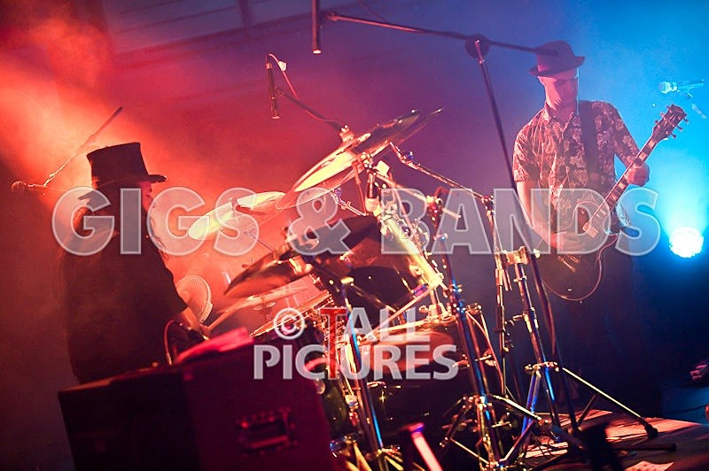 Peppered Ant Legs-4 - PEPPERED ANT LEGS at RoA-3