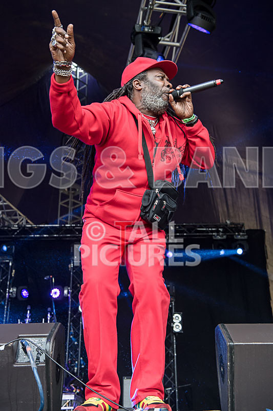 Prince Fatty Soundsystem-12 - PRINCE FATTY SOUNDSYSTEM