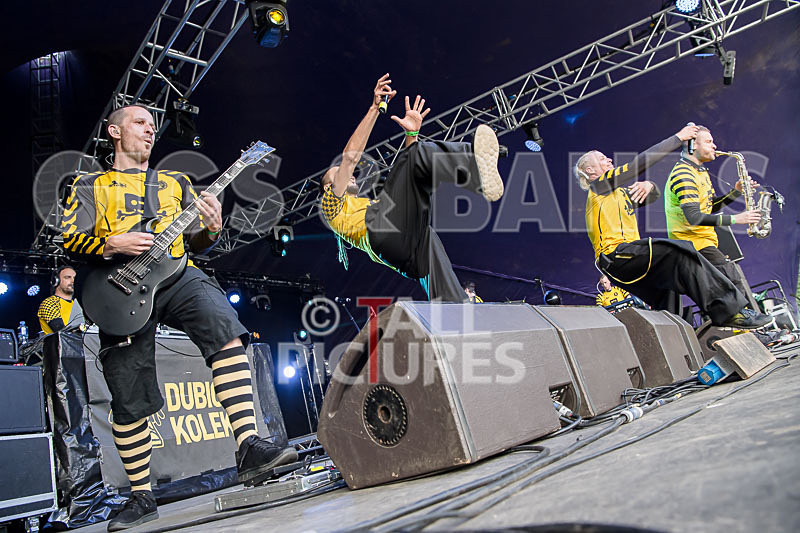 Dubioza Kolektiv-1 - DUBIOZA KOLEKTIV