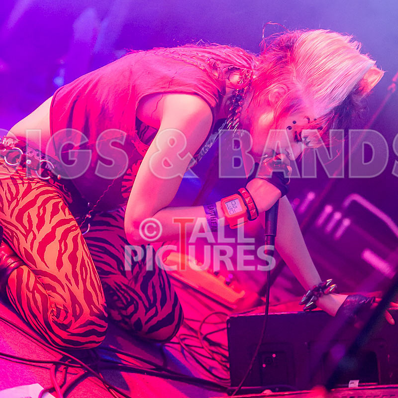 Pussycat and the Dirty Johnsons-110 - PUSSYCAT AND THE DIRTY JOHNSONS