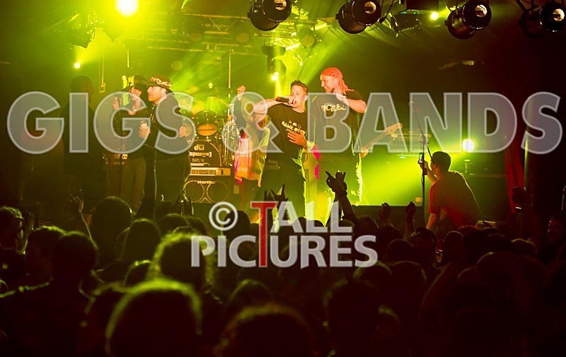 Spunge-65 - [spunge]