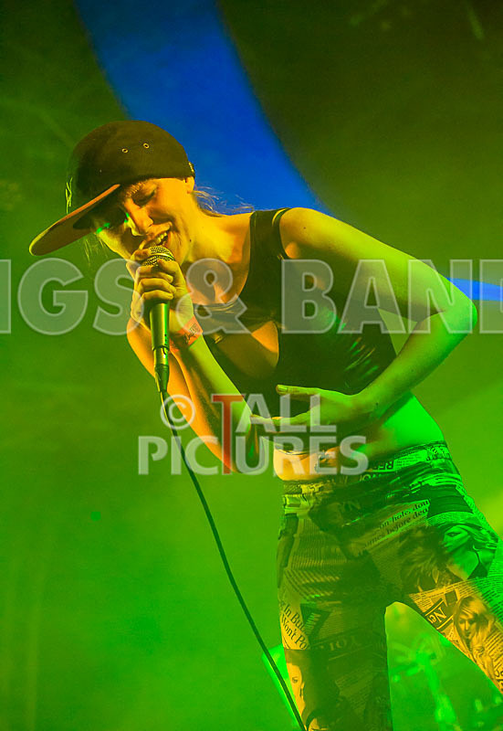 FireFarm-33 - FIREFARM