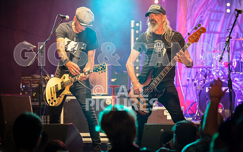 The Electric Shakes-174 - THE ELECTRIC SHAKES