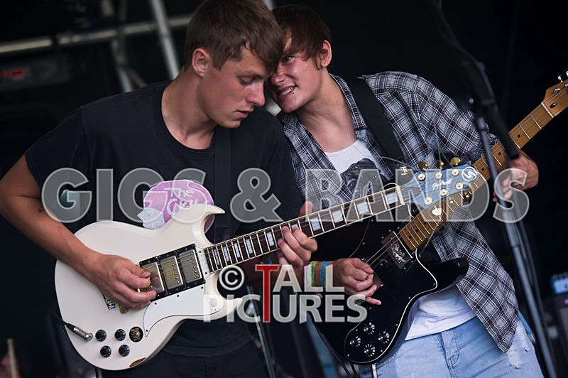 Pirate Video Company-4 - PIRATE VIDEO COMPANY