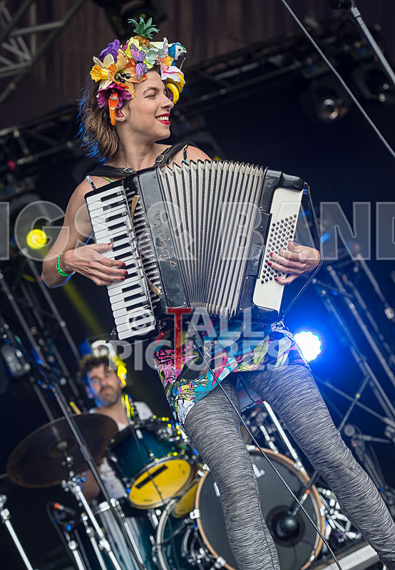 Molotov Jukebox-38 - MOLOTOV JUKEBOX