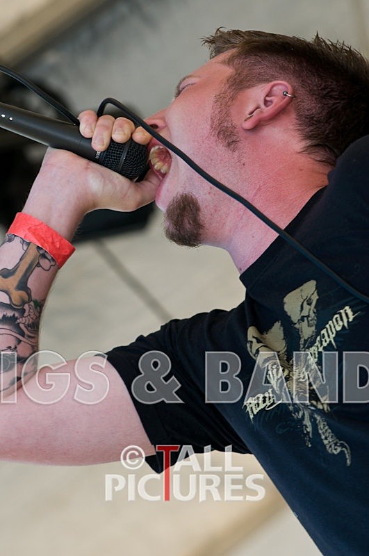 Greenman_Music-348 - GREENMAN CHAOS FESTIVAL 2008 BANDS