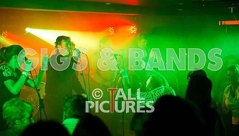 King Rat and the Soul Cats-53 - KING RAT & THE SOUL CATS