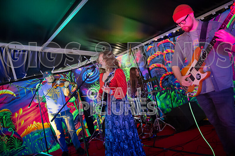 Kiya Ashton and the Folkadelics-18 - KIYA ASHTON AND THE FOLKADELICS