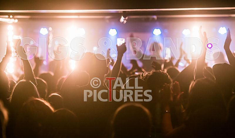 Buffalo Huddleston-117 - BUFFALO HUDDLESTON