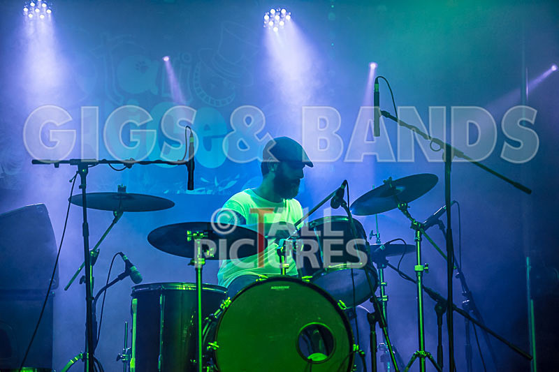 Static Alice-499 - STATIC ALICE