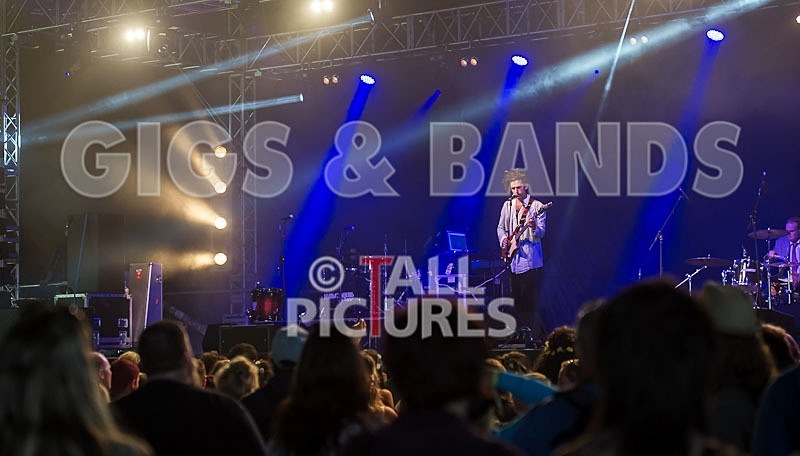 King Charles-14 - KING CHARLES