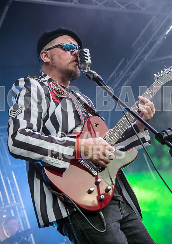 The Smooth Hounds-48 - THE SMOOTH HOUNDS