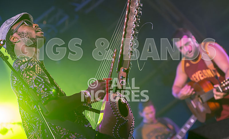 Joe Driscoll Sekou Kouyate-32 - JOE DRISCOLL & SEKOU KOUYATE