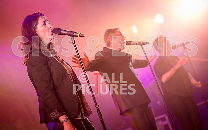 King Rat and the Soul Cats-169 - KING RAT AND THE SOUL CATS