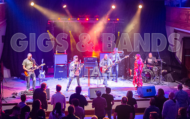 The Sacred Hearts-66 - THE SACRED HEARTS