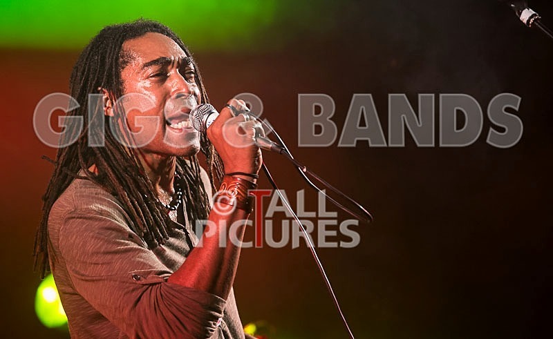 Rebel Control-1 - REBEL CONTROL