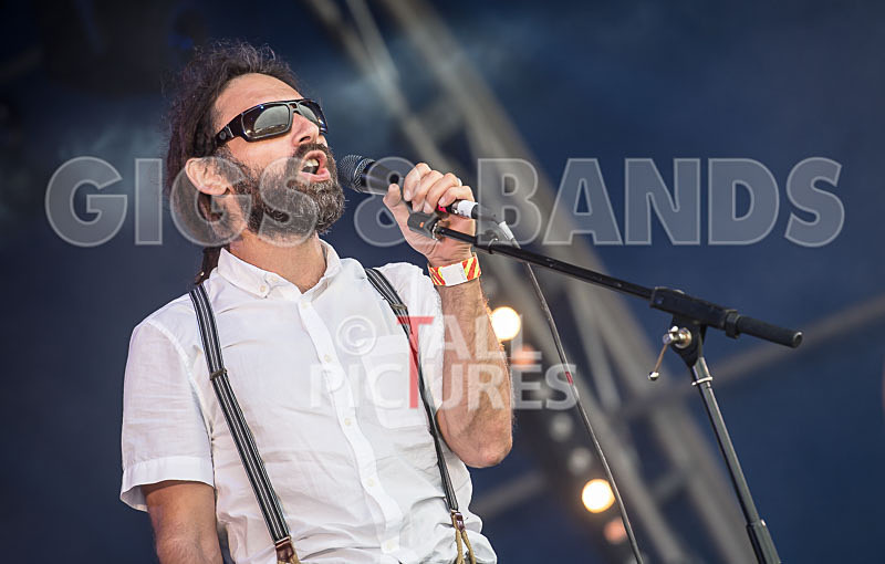 Benny the Moth-100 - BENNY THE MOTH