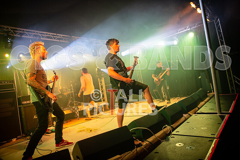 Granite Wolf-91 - GRANITE WOLF