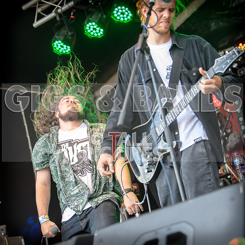 The Dust-29 - THE DUST