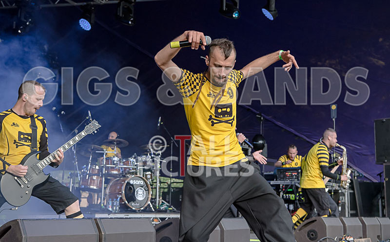 Dubioza Kolektiv-49 - DUBIOZA KOLEKTIV