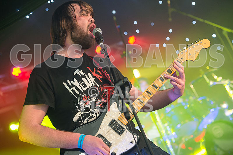 To the Woods-349 - TO THE WOODS