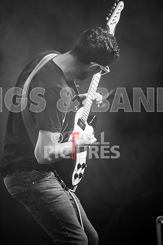 Static Alice-758 - STATIC ALICE