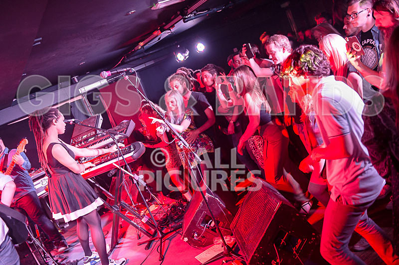 The Skints-24 - THE SKINTS